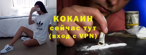 прущий лед Арсеньев